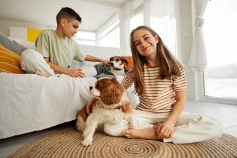 Condomínios podem permitir animais de estimação?