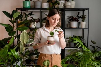 Tenha uma Urban Jungle em casa