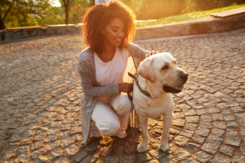 Passeios com os cachorros: importância, duração e horas