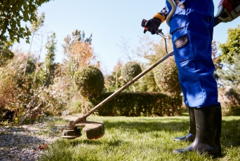 12 Dicas para contratar e realizar serviços de paisagismo e jardinagem em Condomínios