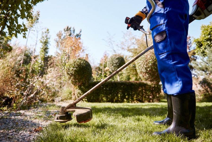 12 Dicas para contratar e realizar serviços de paisagismo e jardinagem em Condomínios