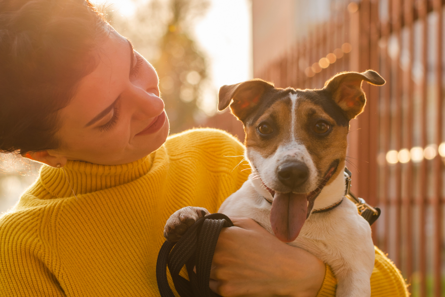 Alguns cuidados podem ampliar a expectativa de vida dos pets