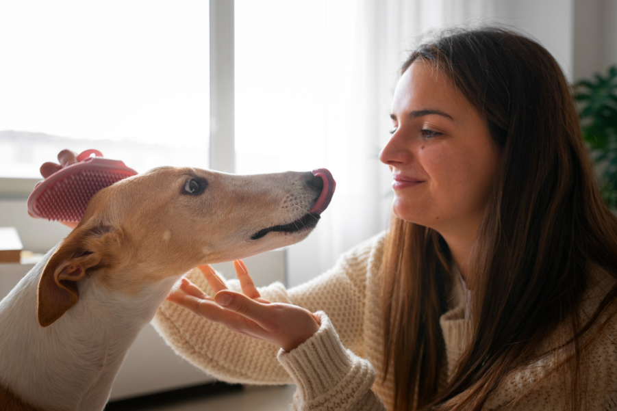 Por que cachorros lambem os donos? Veterinária explica