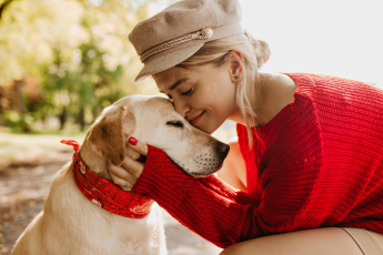 Conexão intensa com cachorro reduz risco de depressão e ansiedade