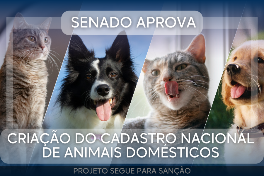Senado Federal Aprova Criação do Cadastro Nacional de Animais Domésticos: Projeto Segue para Sanção