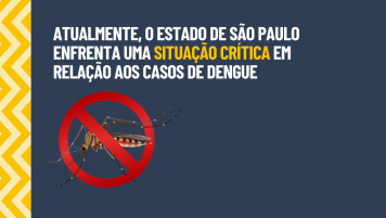 Atualmente, o estado de São Paulo enfrenta uma Situação Crítica em relação aos casos de DENGUE