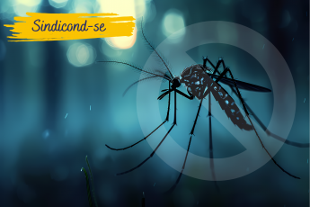 SINDICOND Alerta - Dengue