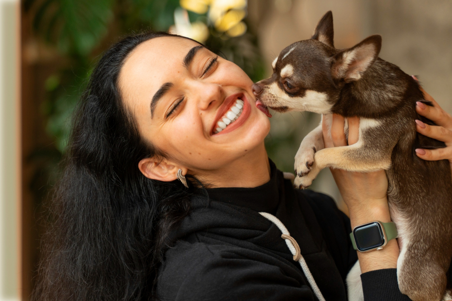 Seu Cachorro Pode Transmitir Doenças?
