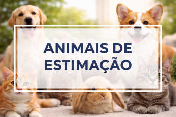 ANIMAIS DE ESTIMAÇÃO