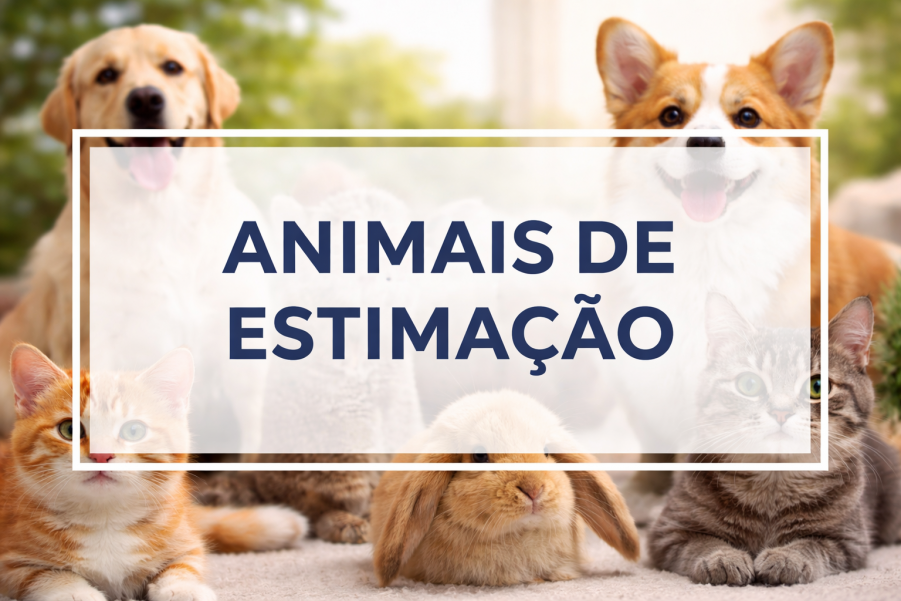 ANIMAIS DE ESTIMAÇÃO